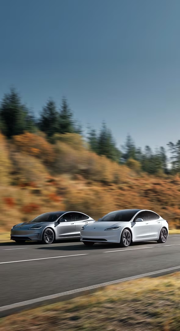 Tesla Model S and Model 3 driving through autumn landscape